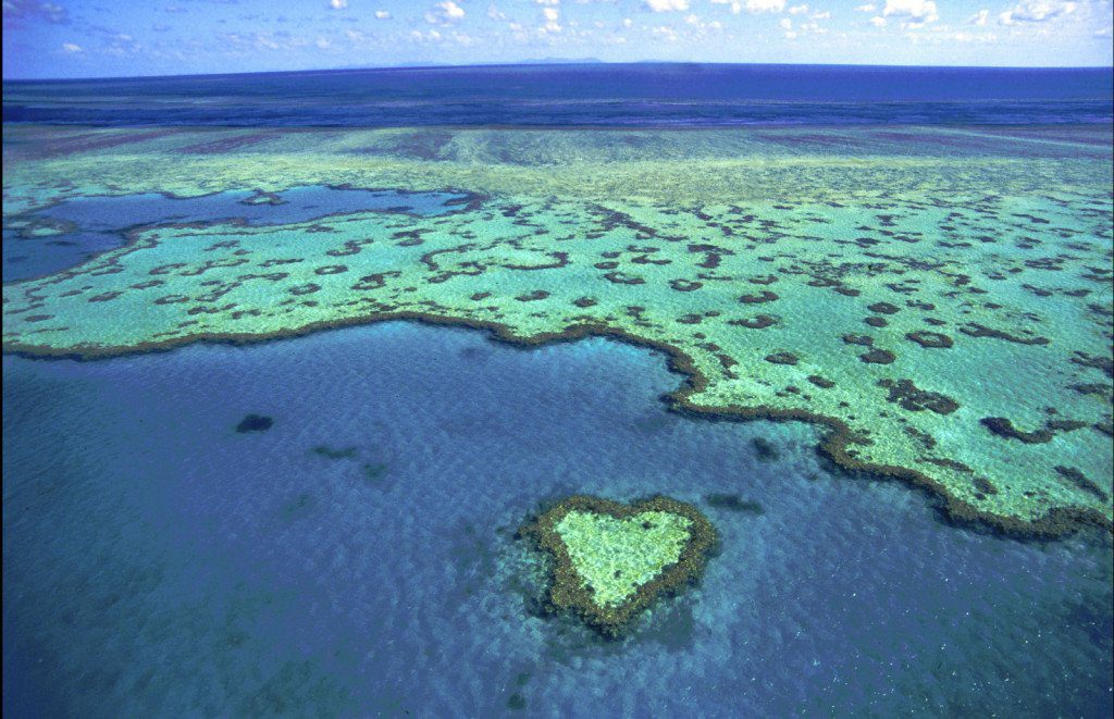 Heart Reef, Whitsunday islands Australia