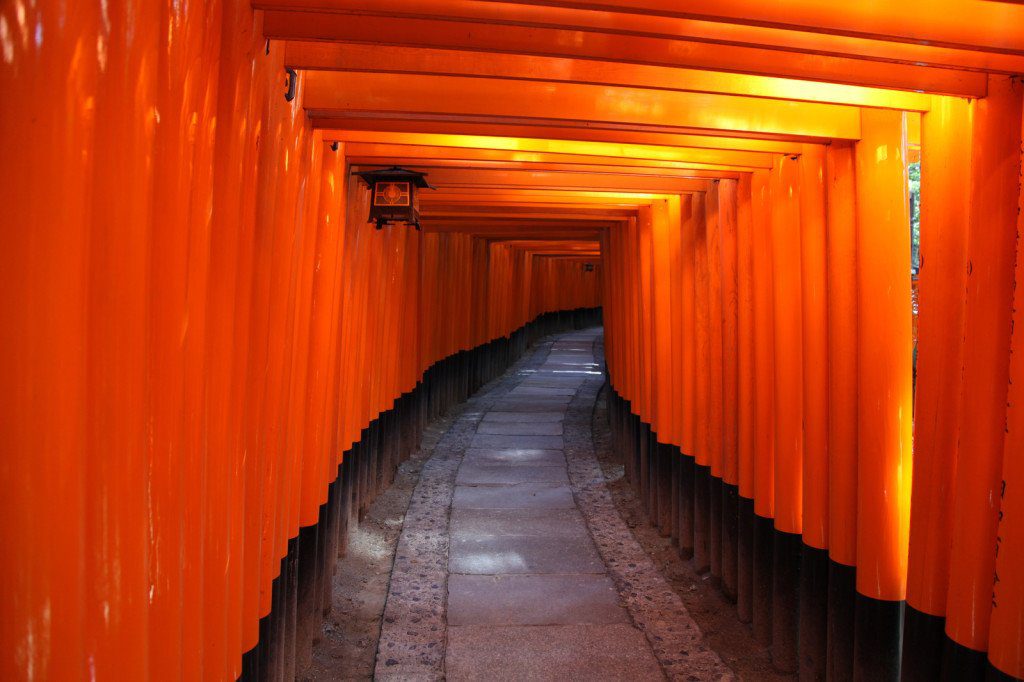 Inside the tunnel of Japanese Torii Gates at Fushimi Inari Taisha , Kyoto Japan