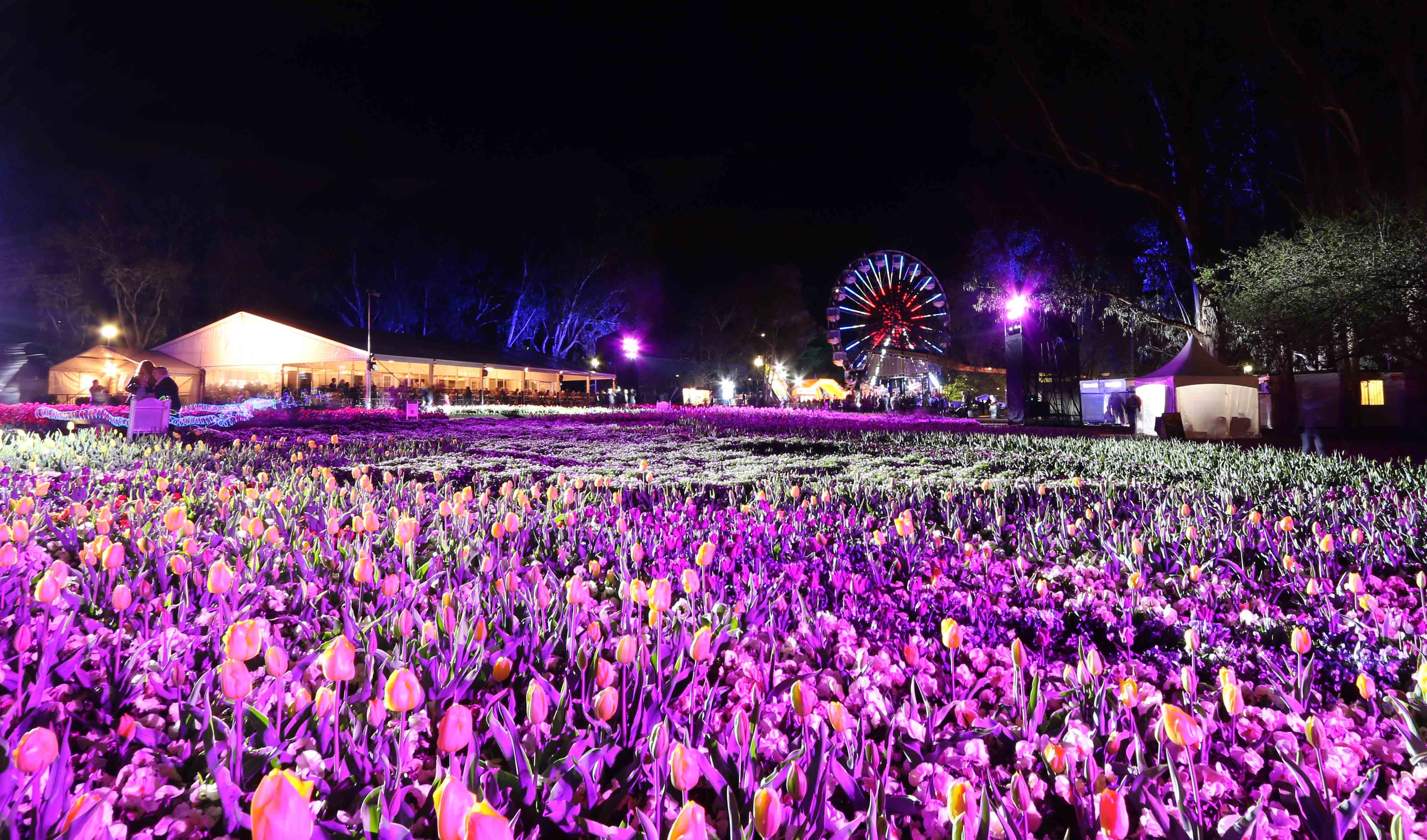 Tapestry of Flowers at Floriade NightFest in Canberra