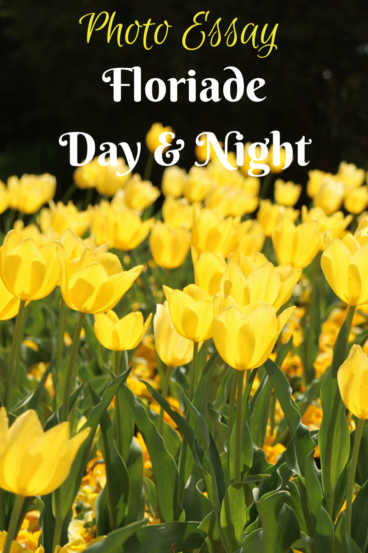 Photo Essay - Floriade Day and Night