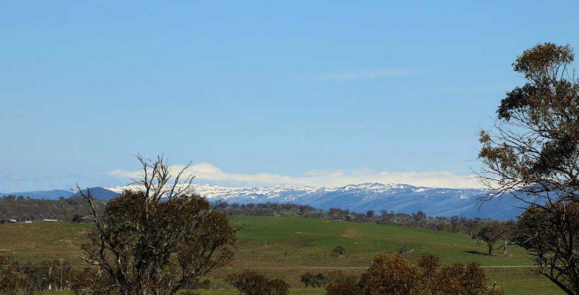 Our First View of the Snow Capped Snowy Mountains!