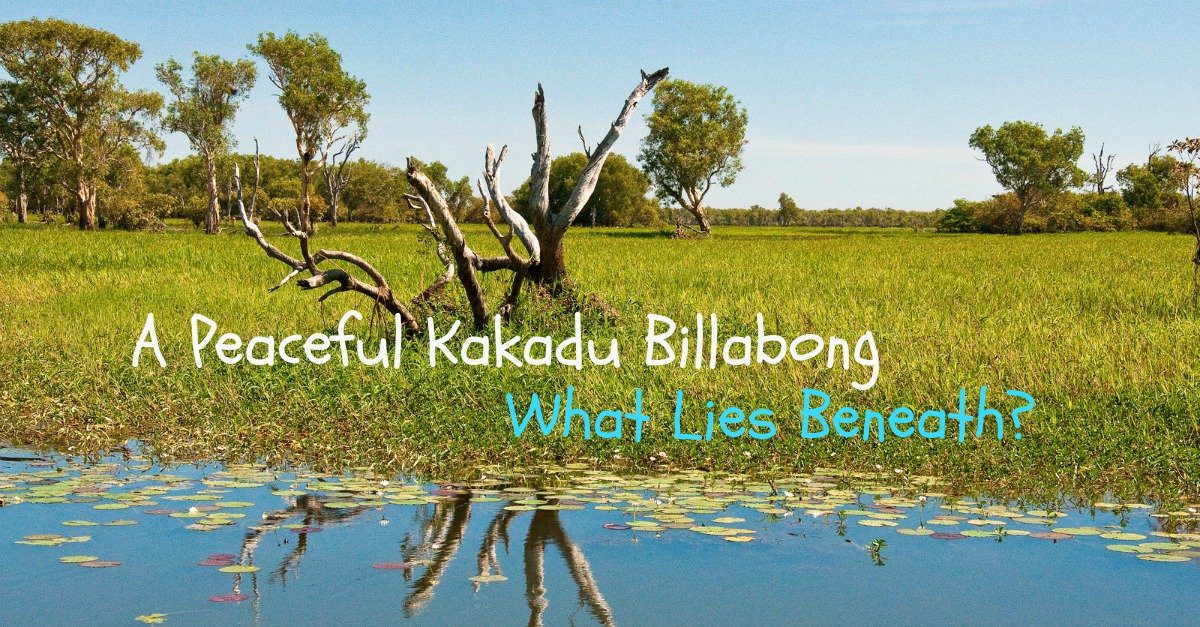 Kakadu Yellow Water Billabong