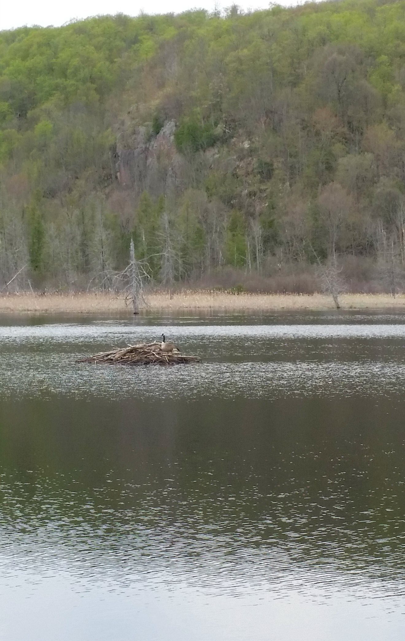Beaver Mound in Gatineau Park, Ottawa Canada