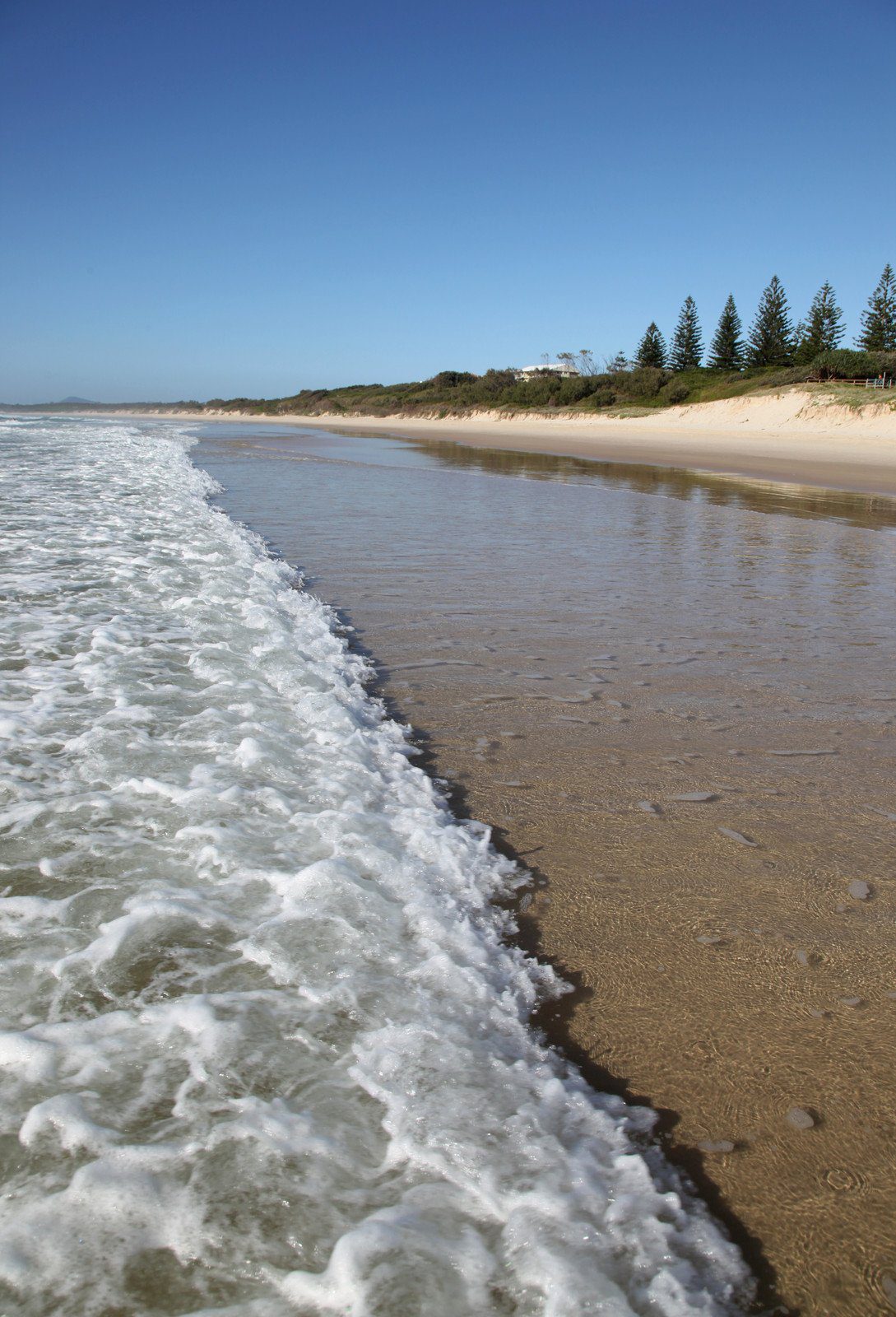 Newcastle Beach, New South Wales Australia