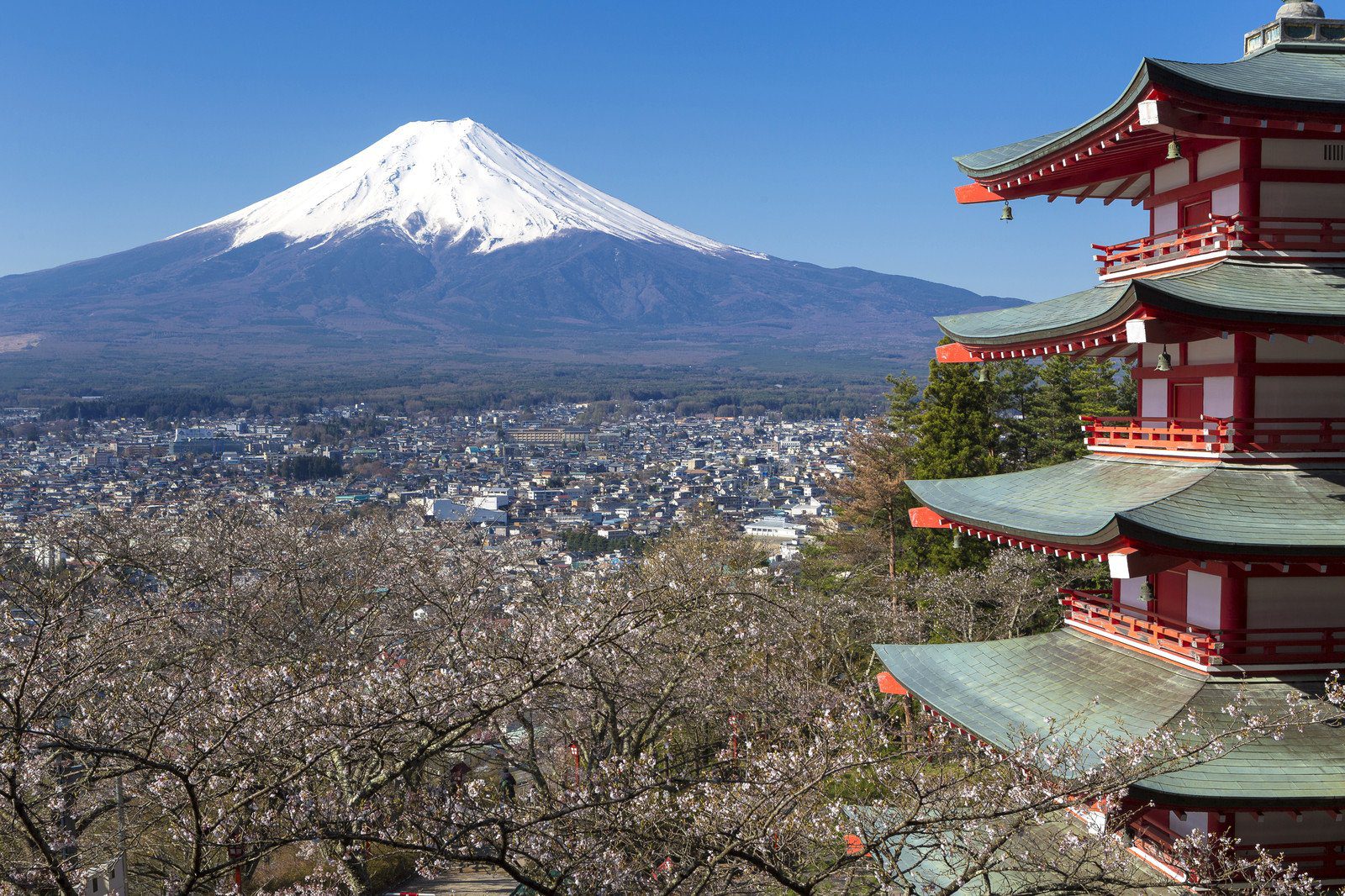 Mt. Fuji viewed from Chureito Pagoda in Japan