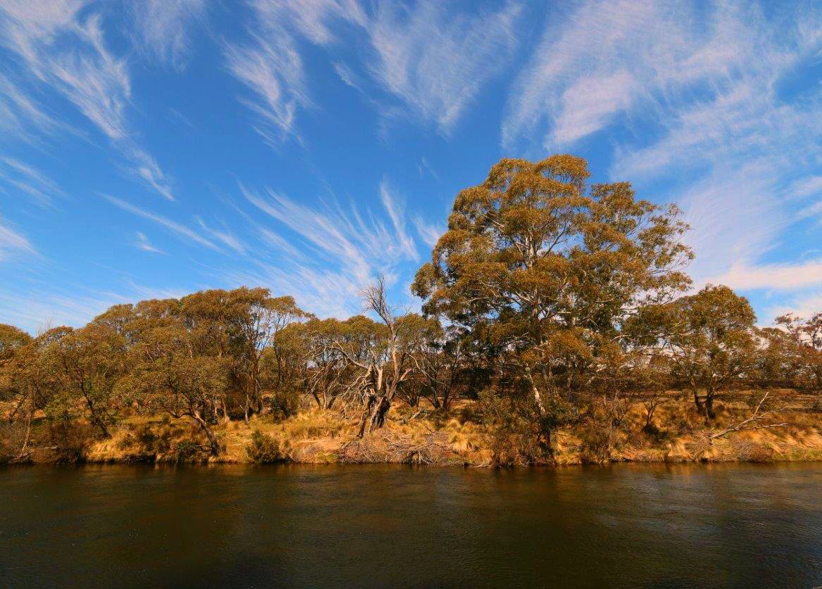 Beautiful river Views near the Thredbo River Picnic Area near Jindabyne Australia