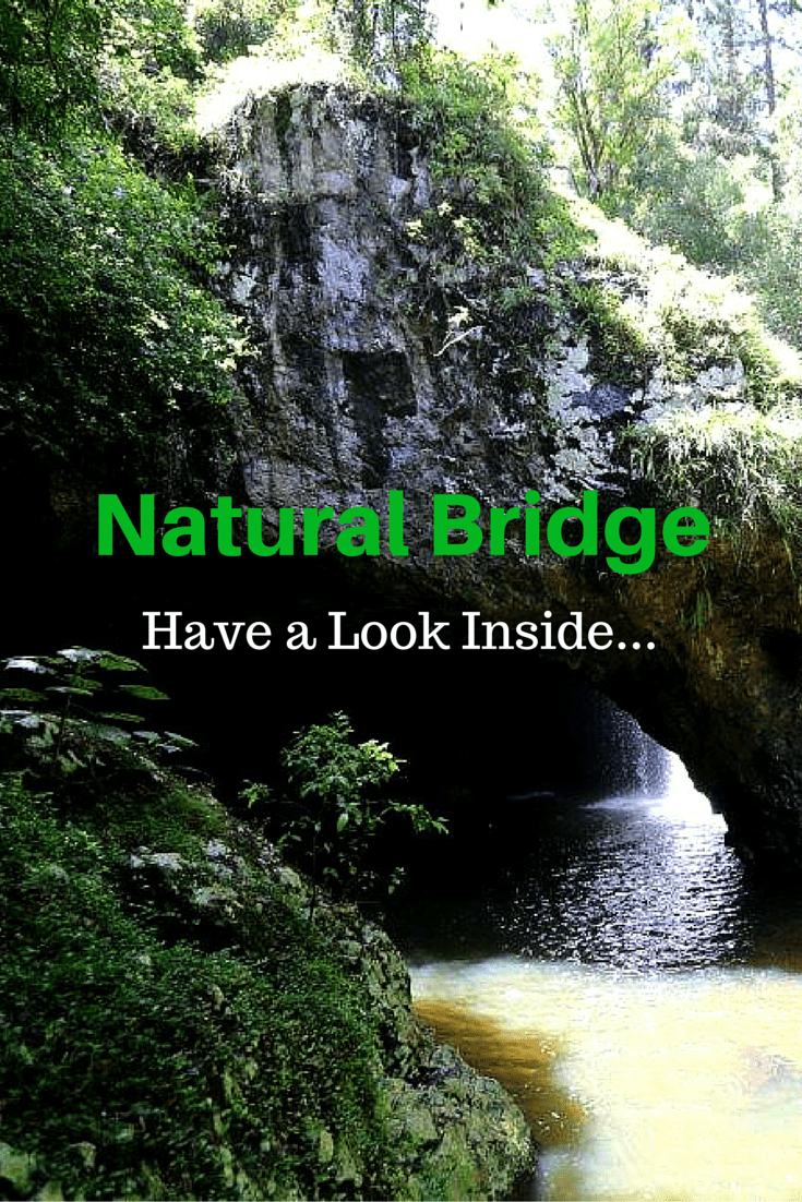 Natural Bridge in Springbrook National Park, Queensland Australia